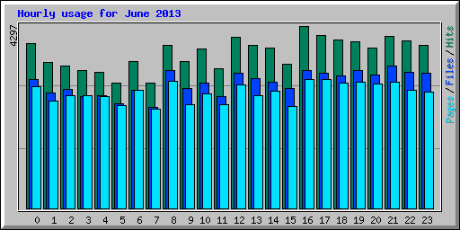 Hourly usage for June 2013